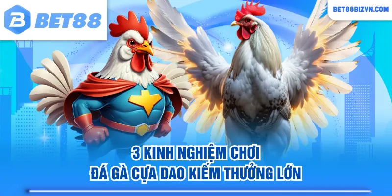 3 Kinh nghiệm chơi đá gà cựa dao kiếm thưởng lớn