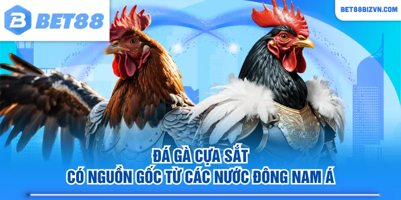 Đá gà cựa sắt có nguồn gốc từ các nước Đông Nam Á