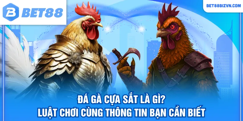 Đá gà cựa sắt