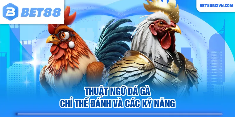 Thuật ngữ đá gà chỉ thế đánh và các kỹ năng