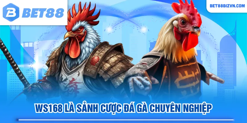 WS168 là sảnh cược đá gà chuyên nghiệp